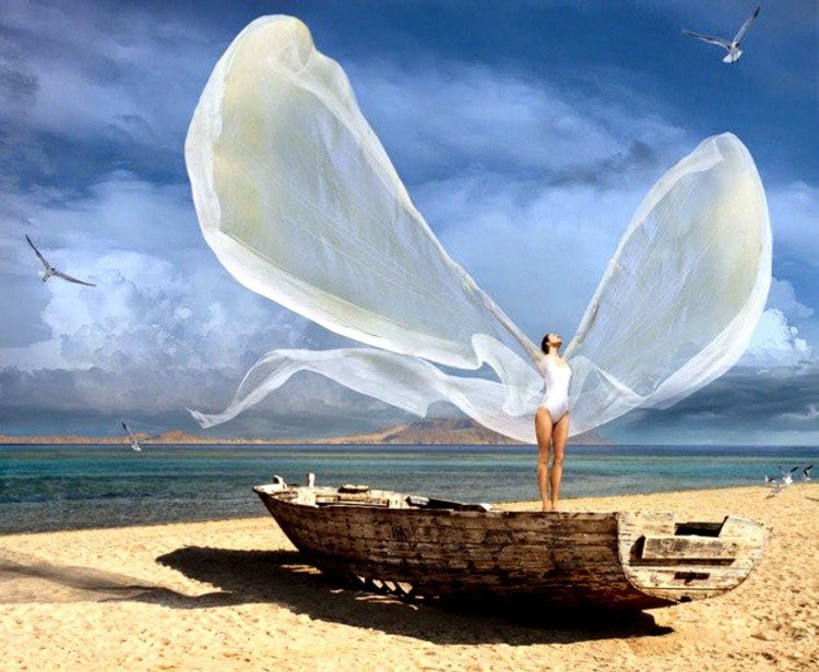 equilibrio y transformación 1