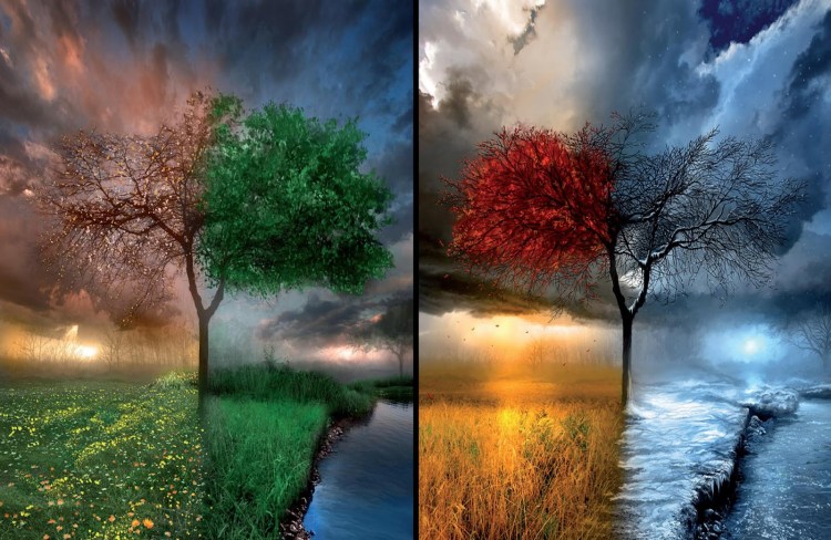 equilibrio y transformación 2